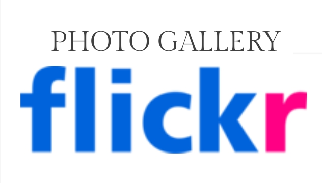 Flickr Gallary